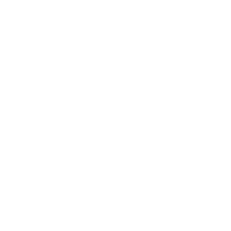 Irontek