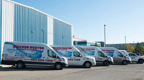 QR Team buses